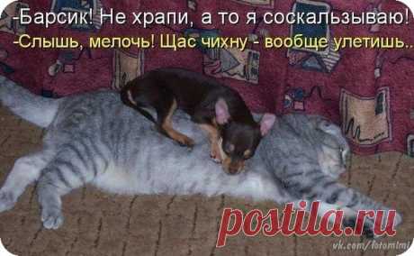 ♥ Открытки
