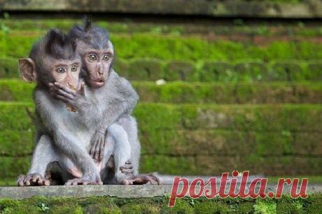 Что там такое?