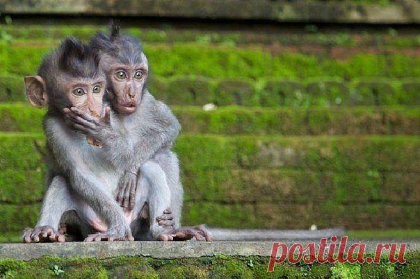 Что там такое?