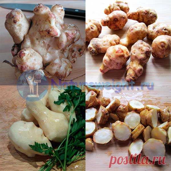 Топинамбур: польза и вред, рецепты приготовления