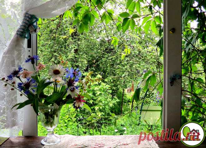 Больше не использую москитную сетку. Сосед показал простой способ как 