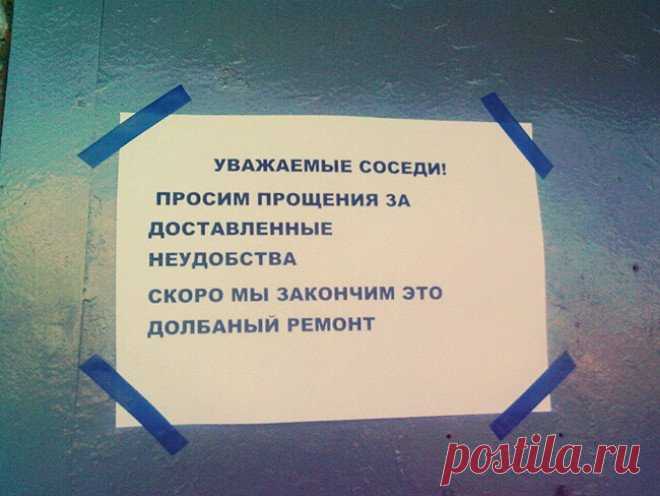 15 душевных объявлений из наших подъездов