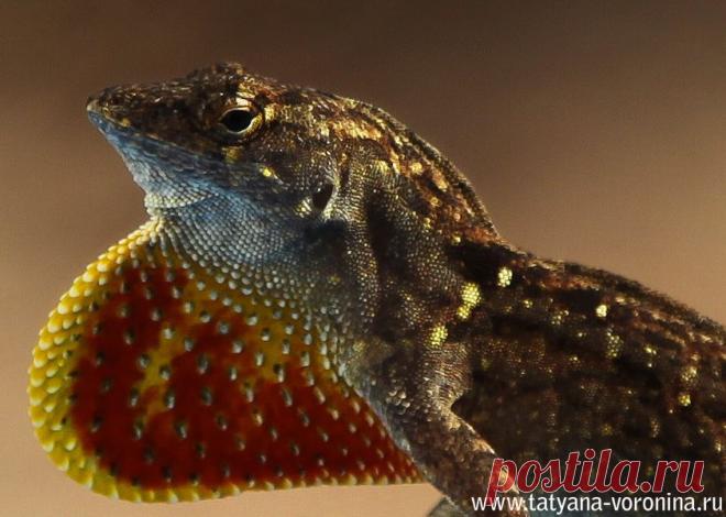 Василий Тимошин vasiliy-timoshin - Москва, Россия, 61 год на Мой Мир@Mail.ru