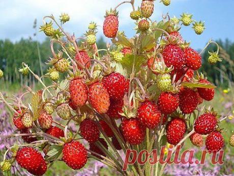 Какое жилье вам больше нравиться?
8 206

частный дом
855

квартира

•••продолжение