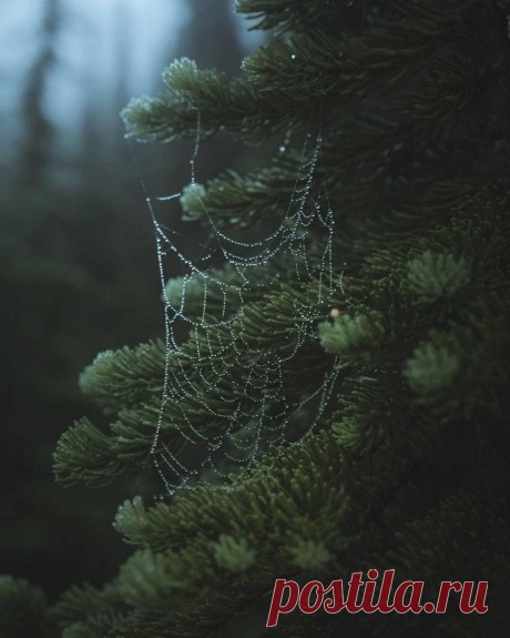 i (1080×1349)