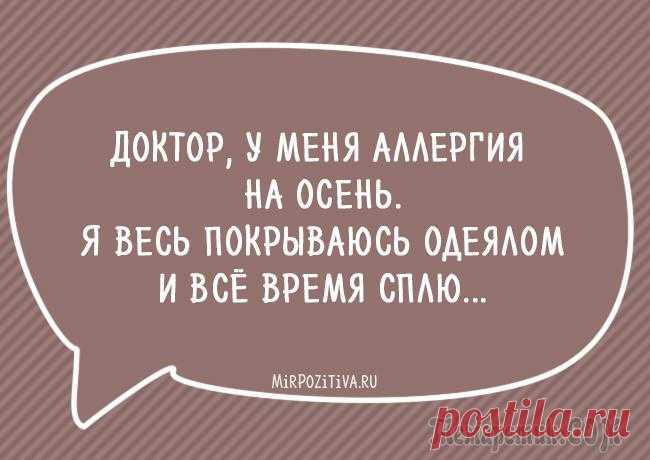 Остроумные и смешные фразы на каждый день!