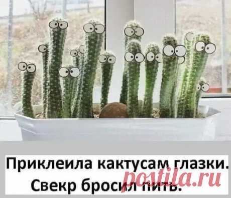 Случайно уронил на себя открытую банку Бондюэль. Был огорошен - РЖАКА - медиаплатформа МирТесен