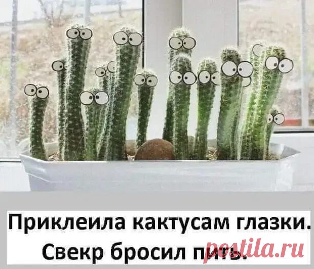 Случайно уронил на себя открытую банку Бондюэль. Был огорошен - РЖАКА - медиаплатформа МирТесен