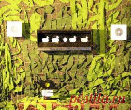 Как открыть бизнес организации пневматического тира