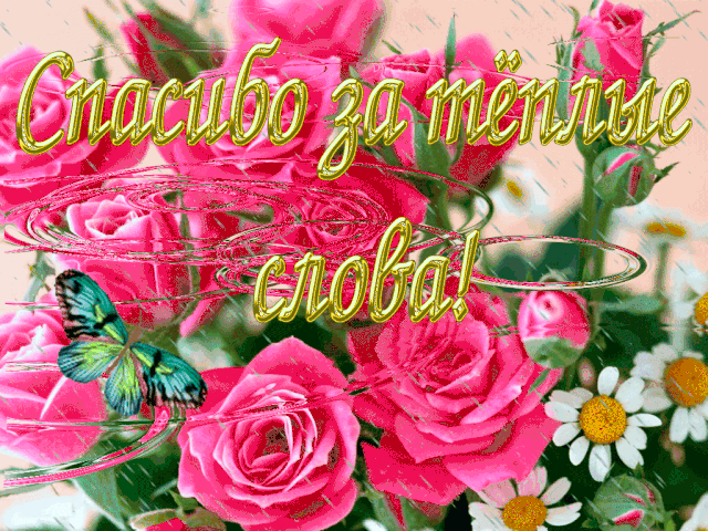 Спасибо большое, огромное
Хочу я сегодня сказать
За помощь, поддержку, терпение.
Здоровья хочу пожелать.