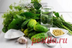 Квашеные огурцы с горчицей