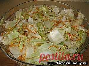 Капуста по-корейски - Cалаты, закуски - Кулинарные рецепты ! - ФотоКулинария