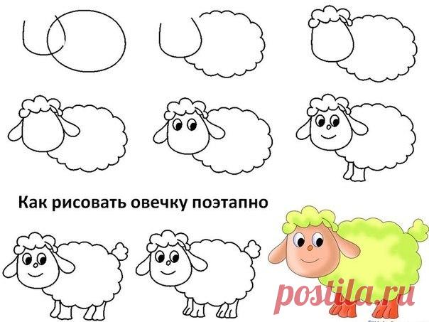 Как нарисовать овечку - Поделки с детьми | Деткиподелки