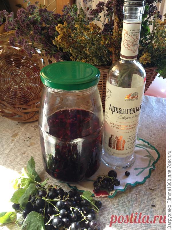 Черносмородиновая наливочка 