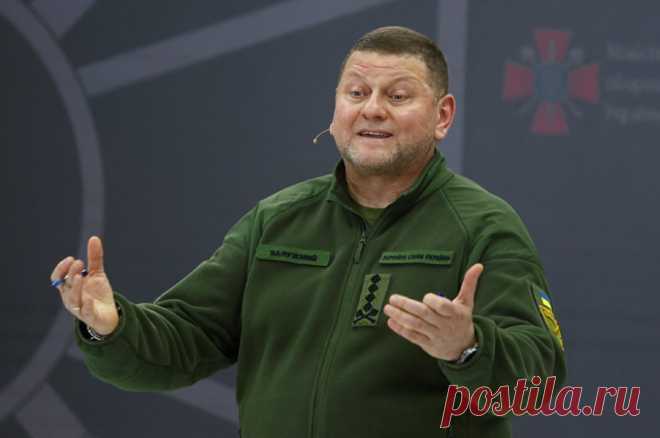 Минус конкурент. Зеленский уволит Залужного после потери Авдеевки Украиной. Инсайдеры: новым главкомом ВСУ станет Буданов.
