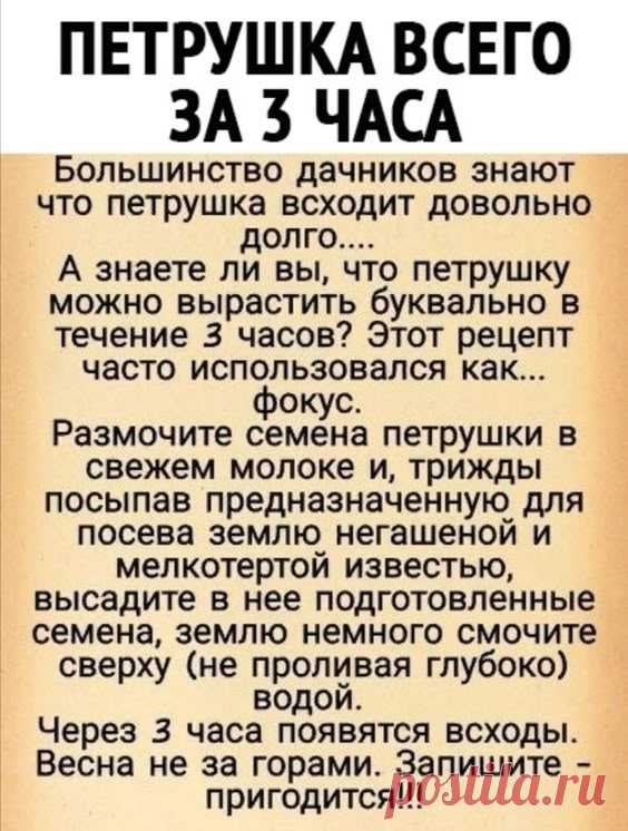Pin page