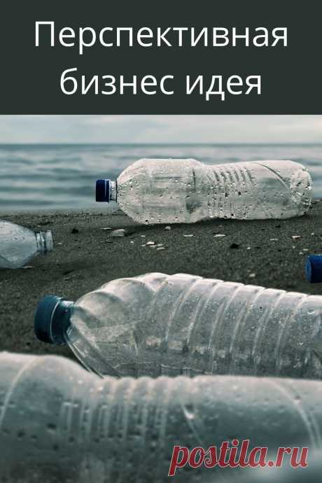 Бизнес идея, которая уже обкатана на Западе и перспективна у нас из-за бесплатного сырья