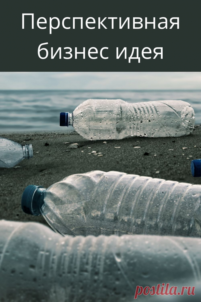 Бизнес идея, которая уже обкатана на Западе и перспективна у нас из-за бесплатного сырья