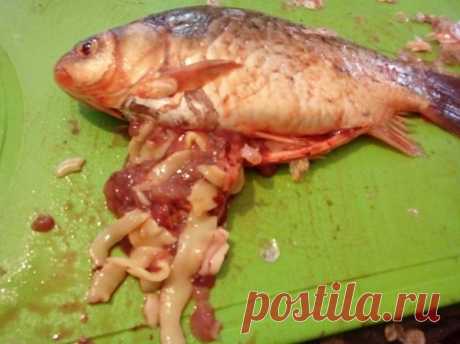 Что делать, если нашел в рыбе солитера: опасен ли он | Рекомендательная система Пульс Mail.ru