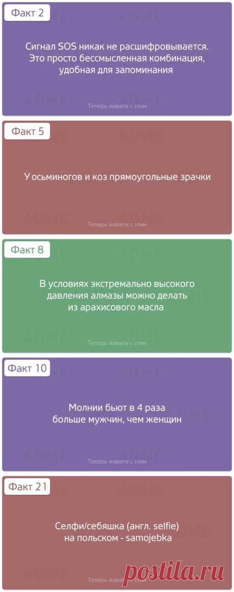 Теперь живите с этим