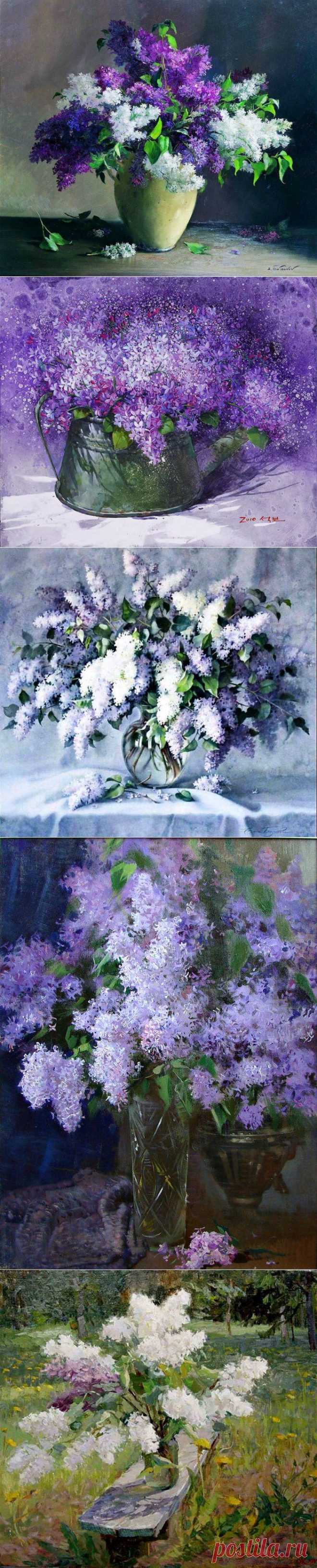 Красавица сирень