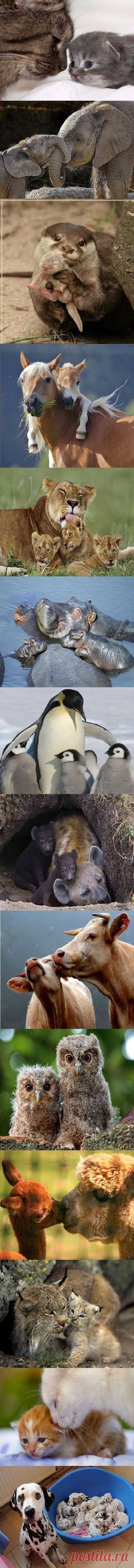 Mothers Are Awesome |  Pinterest