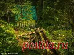 (49) Одноклассники