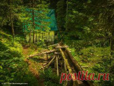 (49) Одноклассники