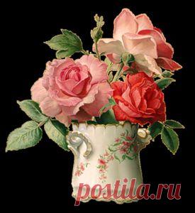 Рецепт молодости был написан в VI веке до нашей эры .