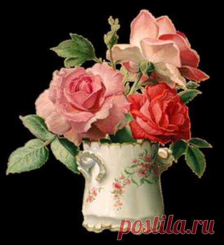 Рецепт молодости был написан в VI веке до нашей эры .