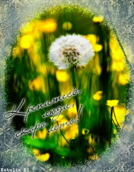 i-25188.gif (466×600)