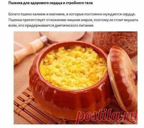 5 каш, за которые организм скажет вам спасибо!