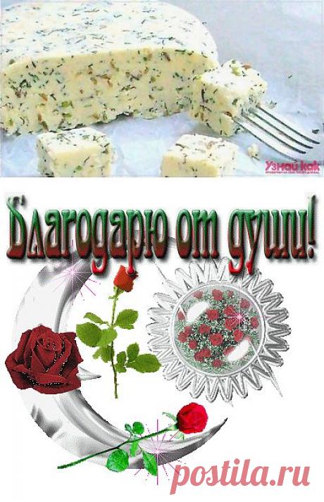 Как сделать домашний сыр с зеленью и тмином | Полезные советы