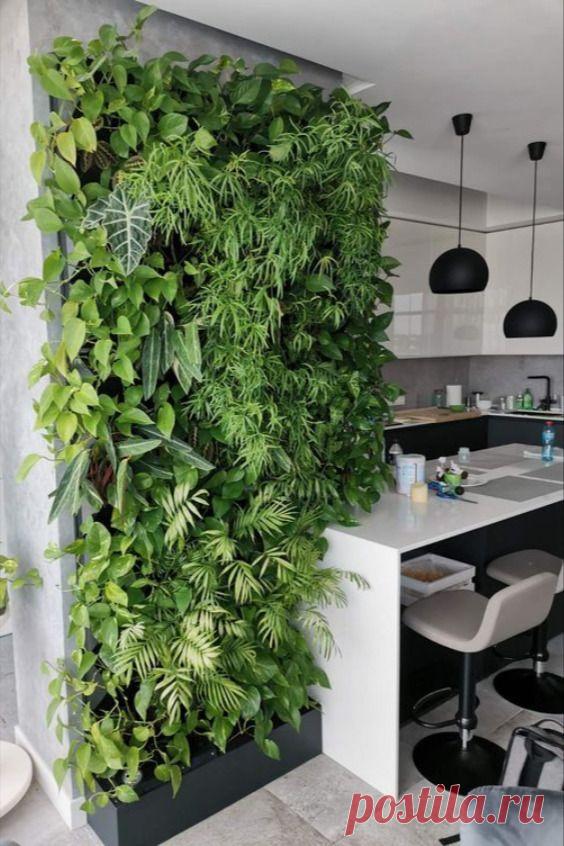Фитостена в интерьере - ИДЕИ ДИЗАЙНА