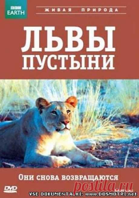 Львы пустыни . Документальные фильмы онлайн