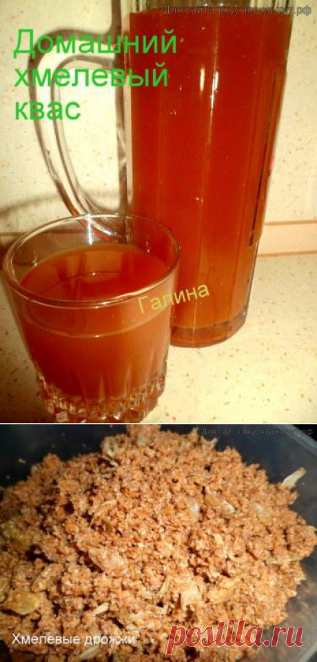 Домашний хмелевый квас - Готовим сами