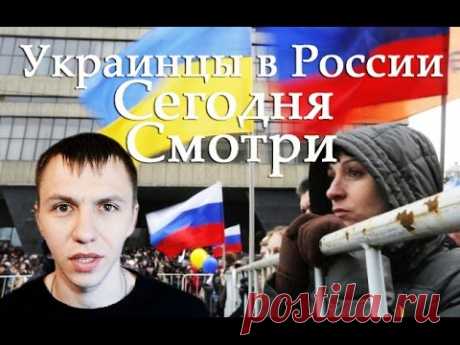 Украинцы в России  Смотри как великие Украинцы ведут себя в России