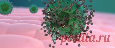 Сахар превратили в мощный противовирусный препарат