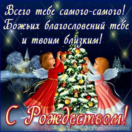 Елена Прокошина