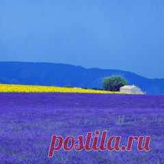 Красоты природы — AdMe Photo Awards 2014