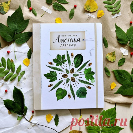 Все на луг! У нас подоспела чудесная летняя новинка — «Мой гербарий. Цветы и травы». Это продолжение серии книг-гербариев. Осенью мы наперебой собирали красивые листочки и прятали их в первую книгу — «Листья деревьев», которая мгновенно стала бестселлером. Поэтому новинку ждали с нетерпением. И она не подвела. Это книга-прогулка, находилка, узнавалка и хранительница сокровищ. В ней описаны 16 видов трав и цветов — ромашка, лютик, мышиный горошек... Они растут буквально повсюду, и мы часто не…