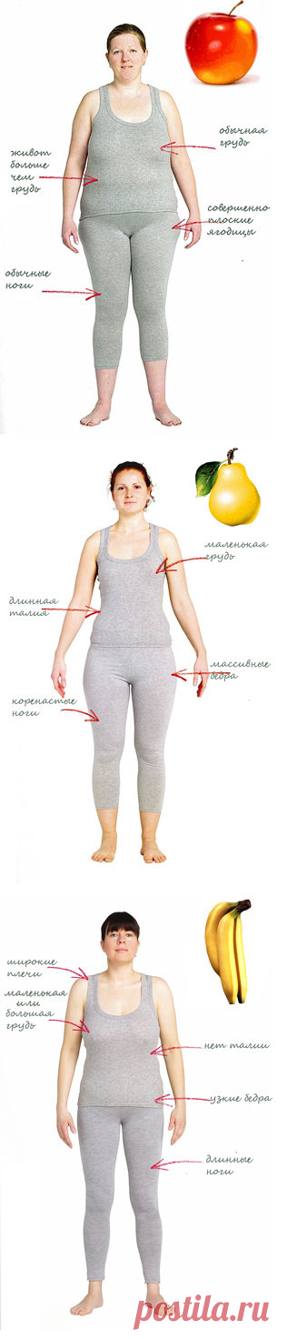 Худеем по типу фигуры - Все о еде и ее приготовлении - www.calorizator.ru