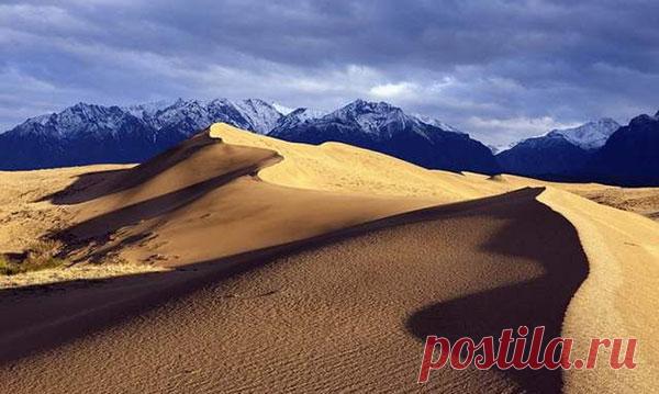 Чарская пустыня – кусочек Африки на севере — Интересные факты