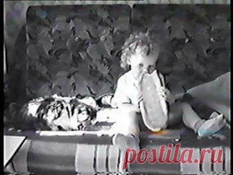 Видео в рубрике: &quot;Наши домашние животные&quot;