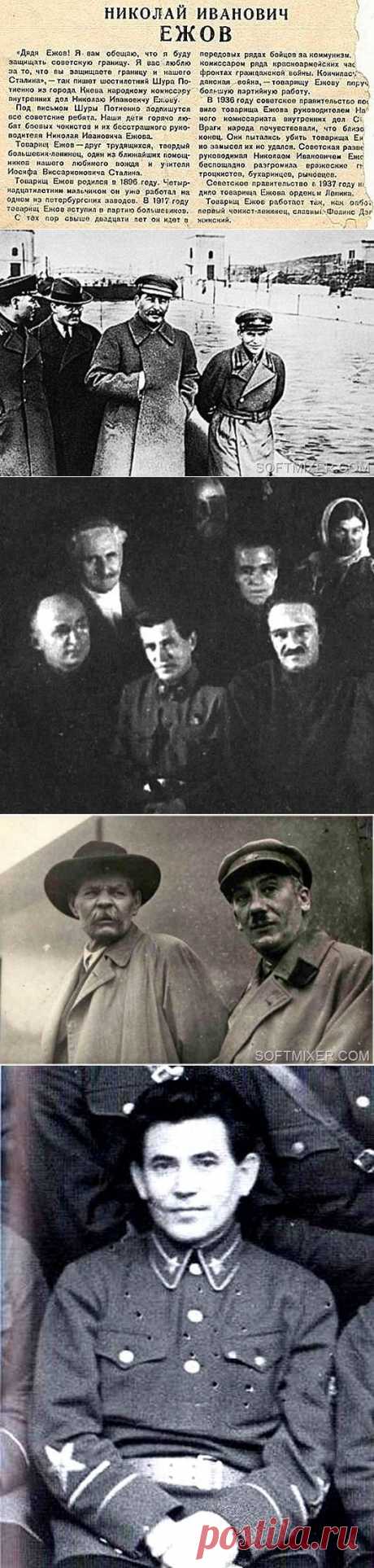 Ежов: ломая догмы и стереотипы / Назад в СССР / Back in USSR
