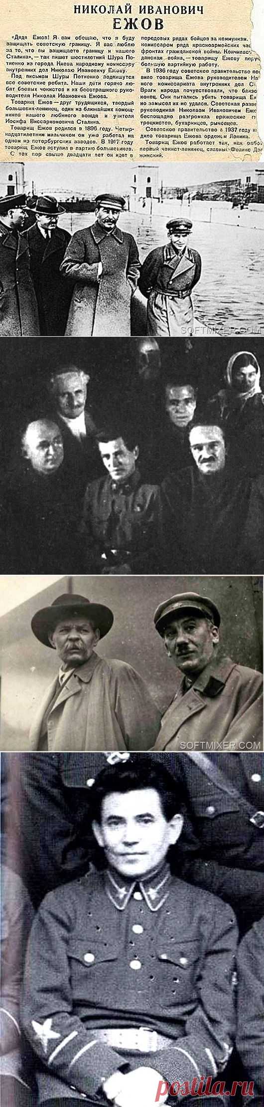 Ежов: ломая догмы и стереотипы / Назад в СССР / Back in USSR