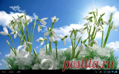 Издательство «Родович» - САМОЦВЕТЫ-КАМНИ-Группы Мой Мир