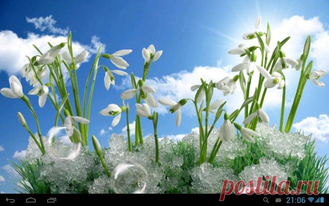 Издательство «Родович» - САМОЦВЕТЫ-КАМНИ-Группы Мой Мир