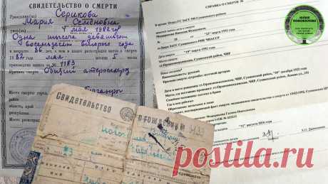 Как получить справку из ЗАГС о предках. 2022 | История одной семьи | Яндекс Дзен