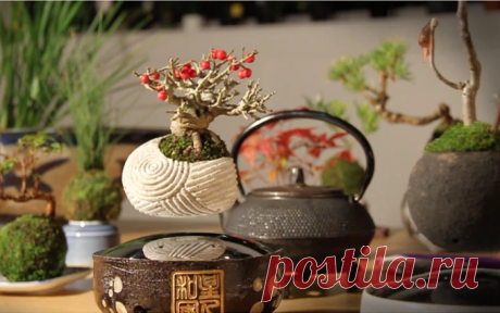 Air Bonsai: волшебные деревца бонсай, парящие в воздухе - IVOREE

Это тоже от волшебной женщины Елены Эллер